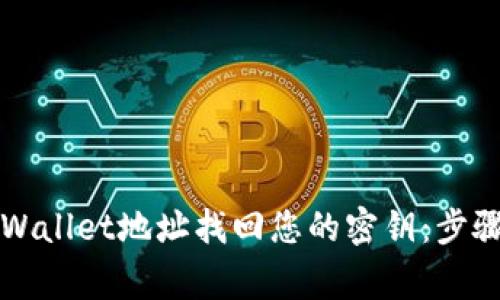 如何通过TPWallet地址找回您的密钥：步骤与注意事项