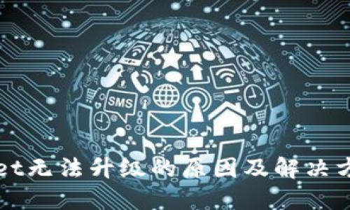 TPWallet无法升级的原因及解决方案详解