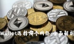 提BNB到TPWallet选择哪个网络：全面解析及最佳实践